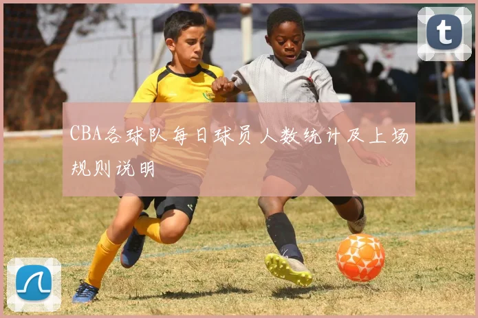 CBA各球队每日球员人数统计及上场规则说明